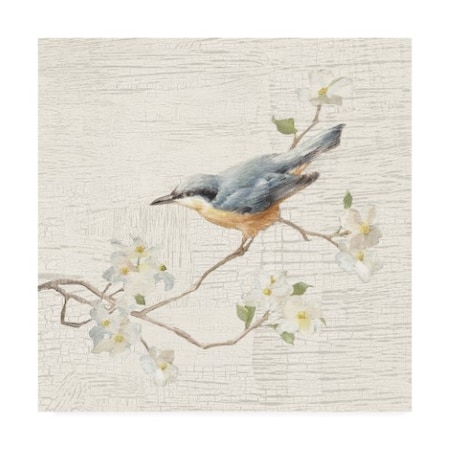Danhui Nai 'Nuthatch Vintage Painting' Canvas Art,14x14